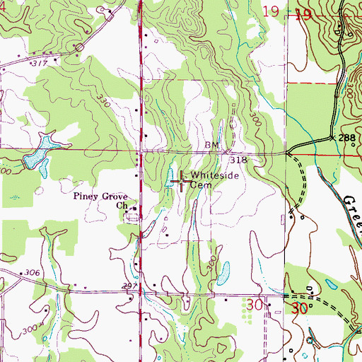 Topographic Map of Whiteside Cemetery, MS