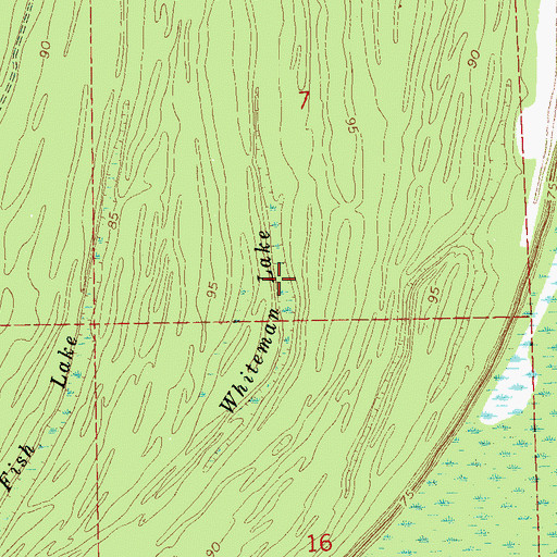Topographic Map of Whteman Lake, MS