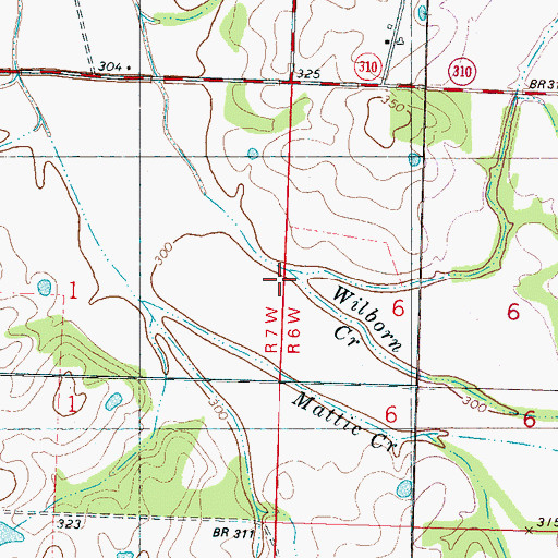 Topographic Map of Wilborn Creek, MS