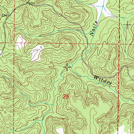 Topographic Map of Wilder Branch, MS