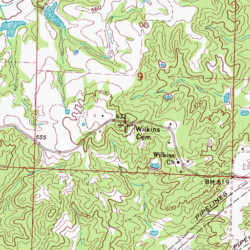 Topographic Map of Wilkins Cemetery, MS