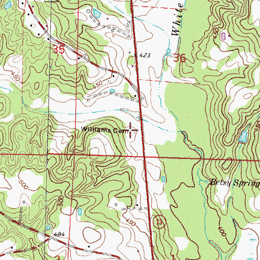 Topographic Map of Williams Cemetery, MS
