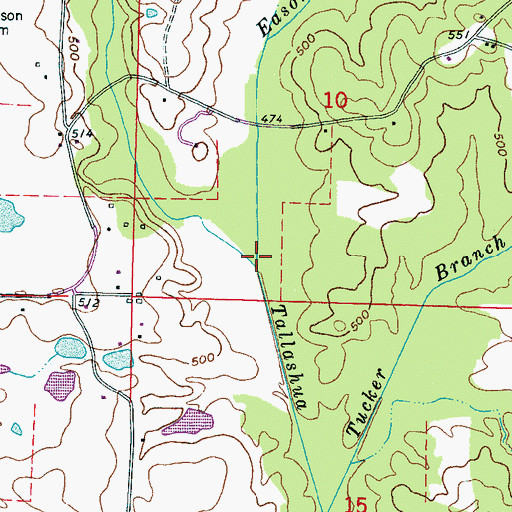 Topographic Map of Wilson Branch, MS