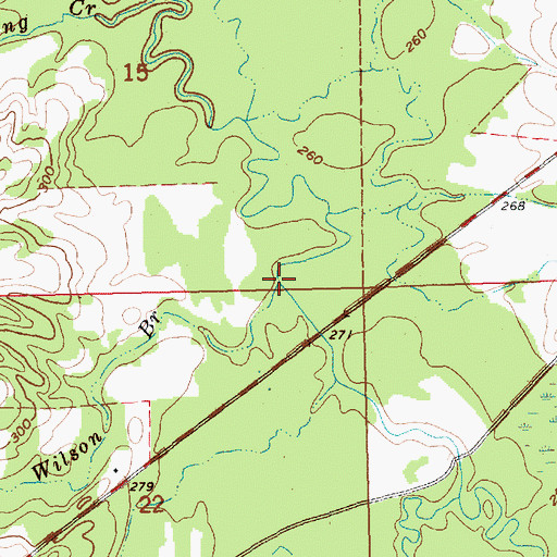 Topographic Map of Wilson Branch, MS