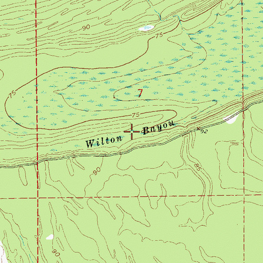 Topographic Map of Wilton Bayou, MS