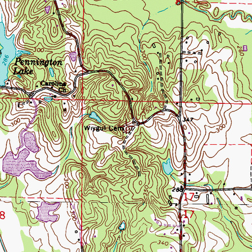 Topographic Map of Wiygul Cemetery, MS