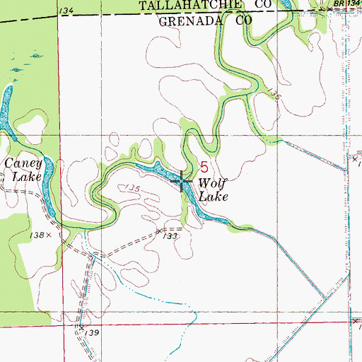 Topographic Map of Wolf Lake, MS