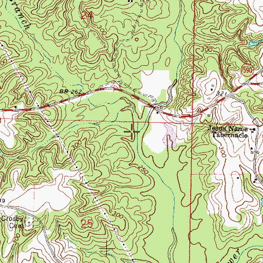 Topographic Map of Wolfpen Branch, MS