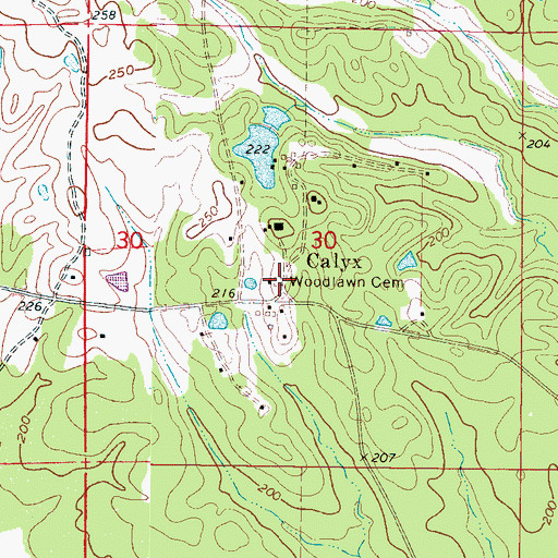 Topographic Map of Woodlawn Cemetery, MS
