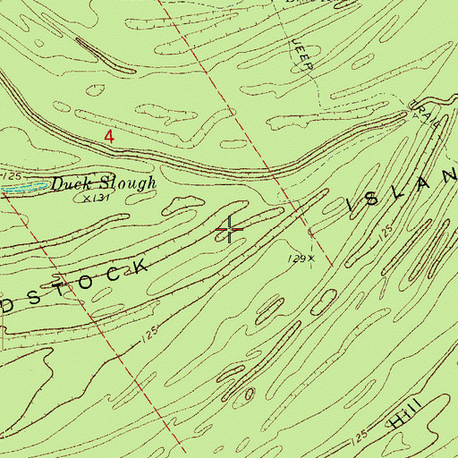 Topographic Map of Woodstock Island, MS