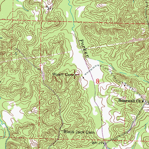 Topographic Map of Wyatt Cemetery, MS