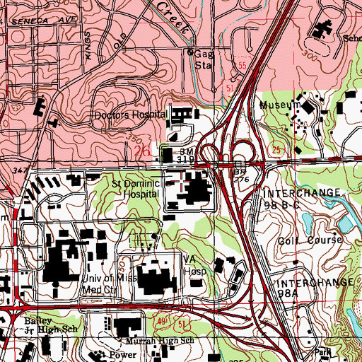 Topographic Map of Saint Dominic-Jackson Memorial Hospital Airport, MS
