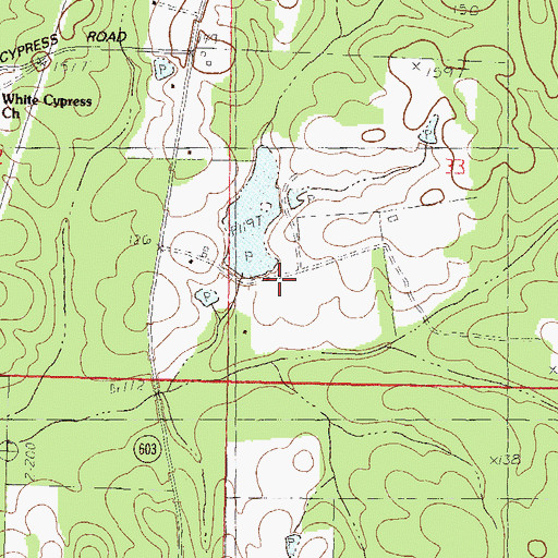 Topographic Map of B M Brignse Lake Dam, MS