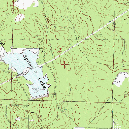 Topographic Map of Spring Lake Dam, MS