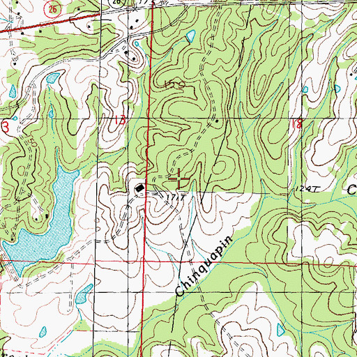 Topographic Map of Taylor Land Company Lake Dam, MS