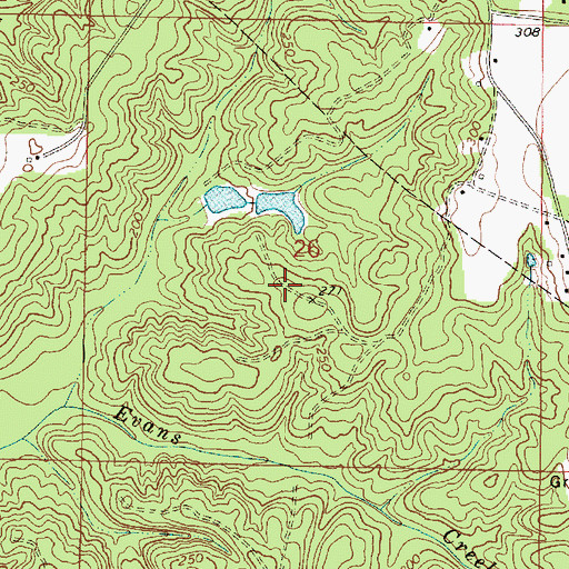 Topographic Map of James Dickerson Lake Dam, MS