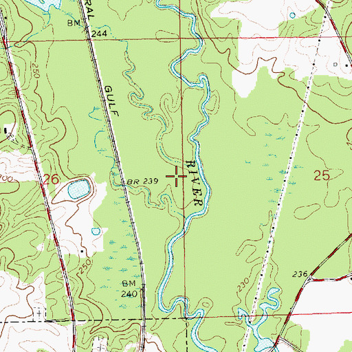 Topographic Map of Ott Lake Dam, MS