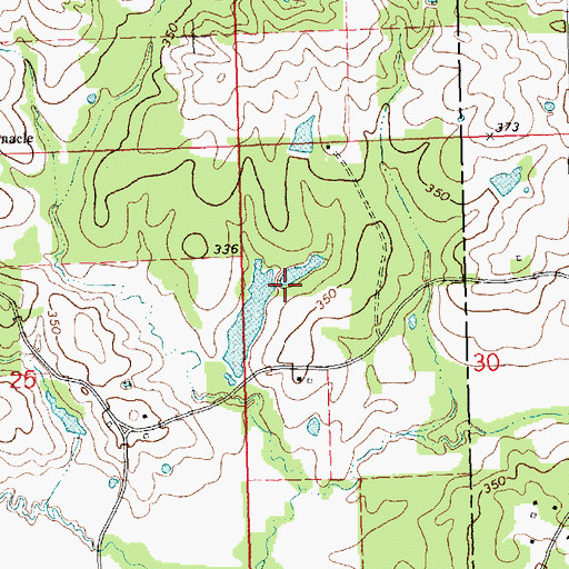 Topographic Map of Pilgrim Lake Dam, MS
