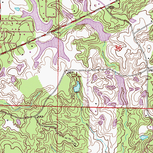 Topographic Map of Leo Turner Pond Dam, MS