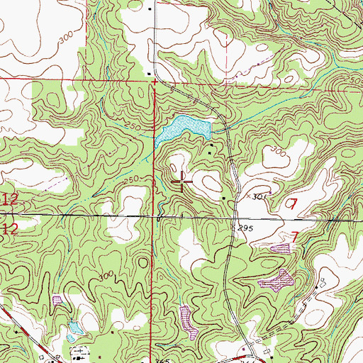 Topographic Map of L D Emmons Pond Dam, MS