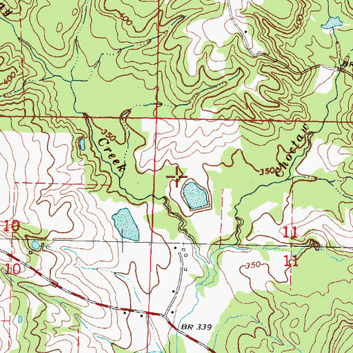 Topographic Map of M V Spights Lake Dam, MS