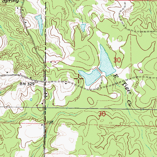 Topographic Map of Bankston Pond Dam, MS
