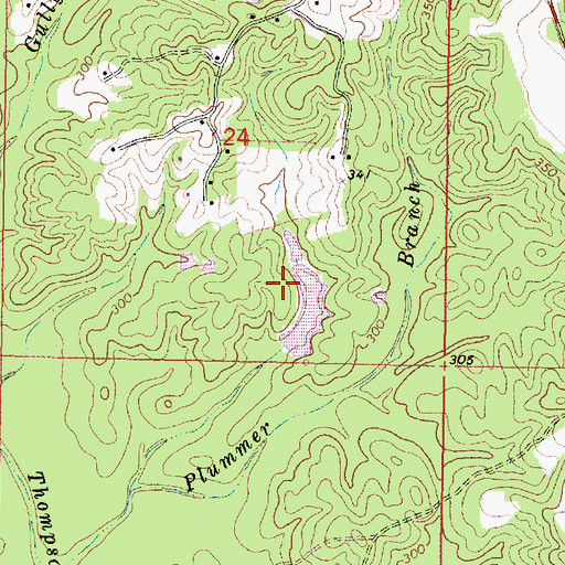 Topographic Map of Williams Lake Dam, MS