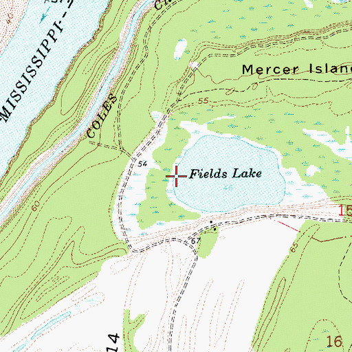 Topographic Map of Carl Anderson Lake Dam, MS