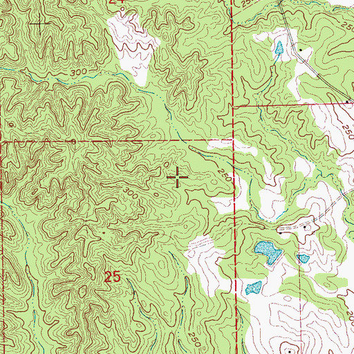 Topographic Map of Reed Lake Dam, MS