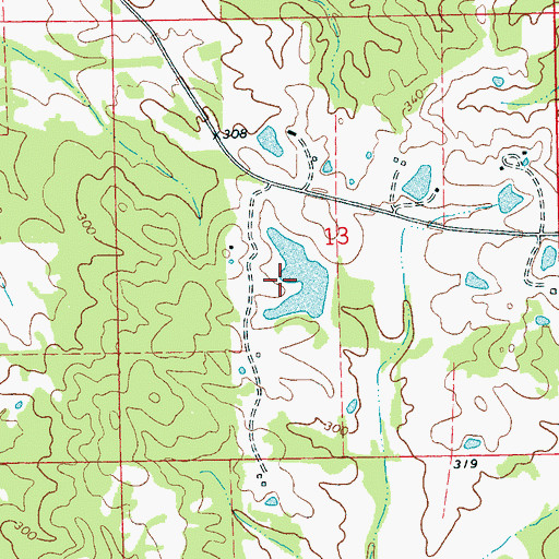 Topographic Map of Rice Lake Dam, MS