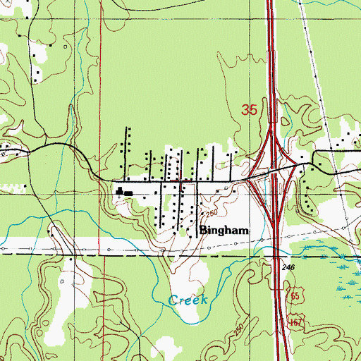 Topographic Map of Bingham, AR