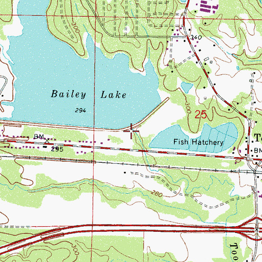 Topographic Map of Tom Bailey Lake Dam, MS