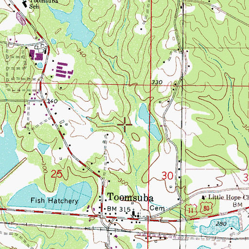 Topographic Map of Buster Price Pond Dam, MS