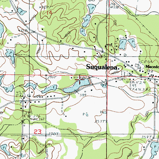 Topographic Map of Jenkins Pond Dam, MS