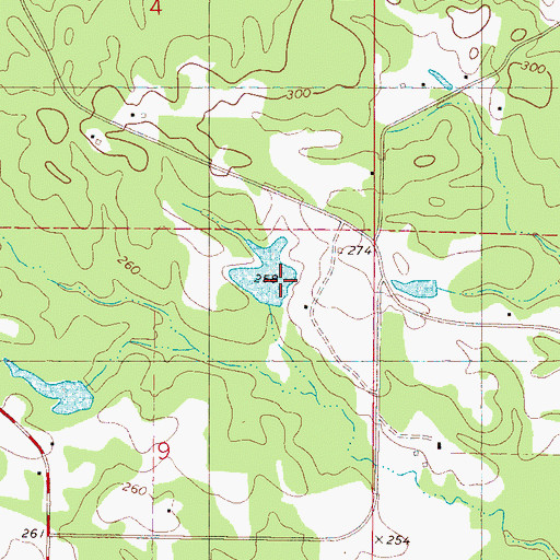 Topographic Map of Mrs R E Payne Pond Dam, MS