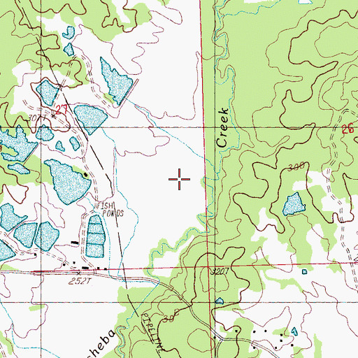 Topographic Map of McGraw Lake Dam, MS