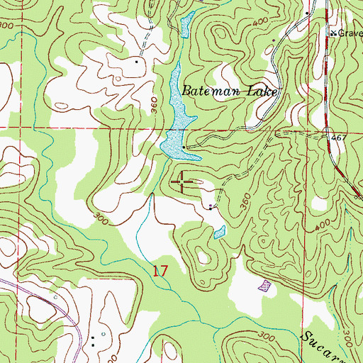 Topographic Map of Harry H Russell Pond Dam, MS