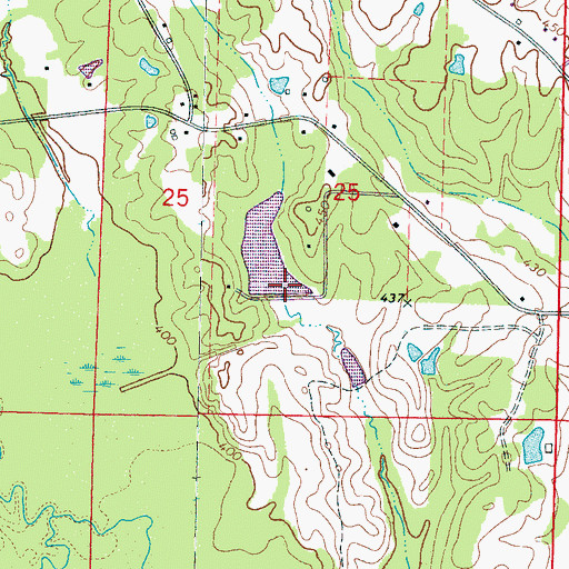 Topographic Map of Colonel Eubanks Lake Dam, MS