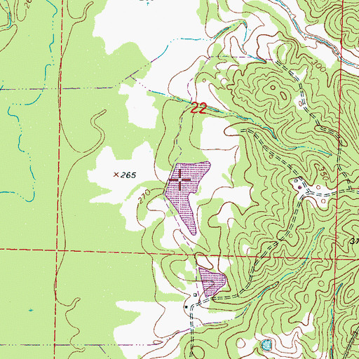 Topographic Map of Riverside Farm Dam, MS