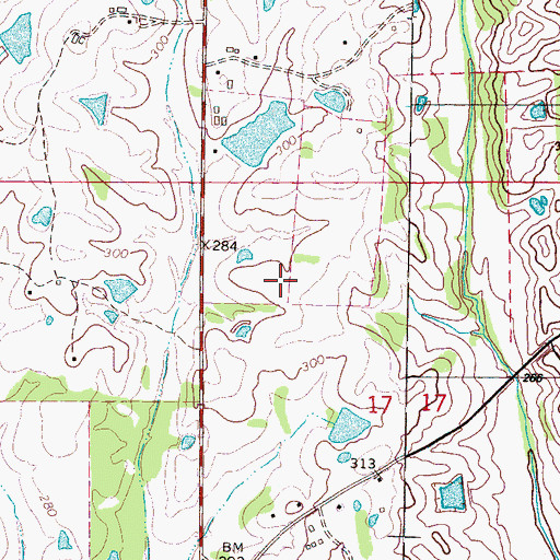 Topographic Map of Randle Lake Dam, MS