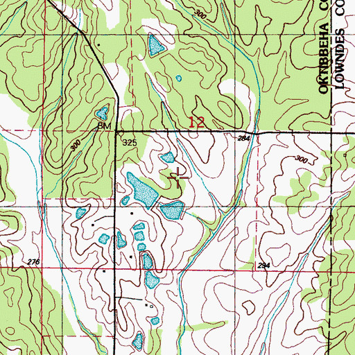 Topographic Map of Gray Lake Dam, MS