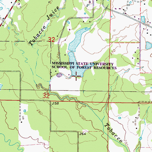 Topographic Map of Mitchell Lake Dam, MS