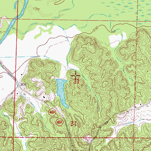 Topographic Map of J W Braswell Pond Dam, MS