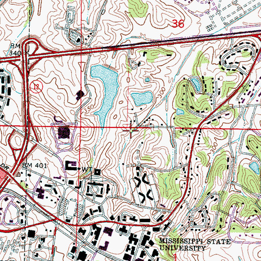 Topographic Map of Mississippi State College Lake Dam, MS