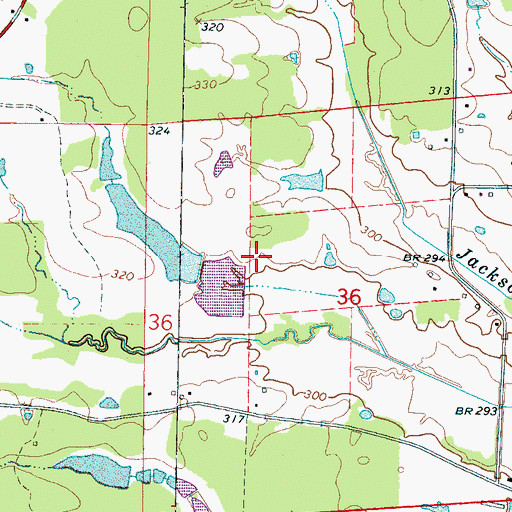 Topographic Map of Oswalt Lake Dam, MS