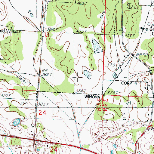 Topographic Map of G E Mason Catfish Pond Dam, MS