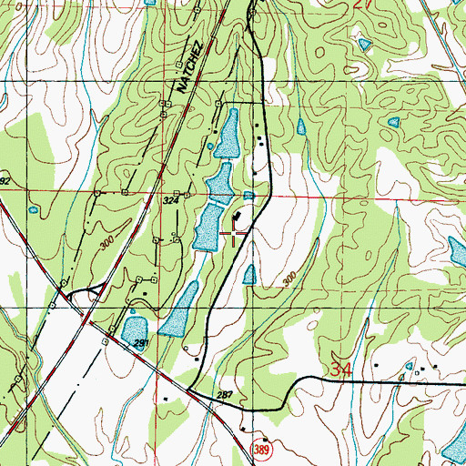 Topographic Map of Hollomans Lake Dam, MS