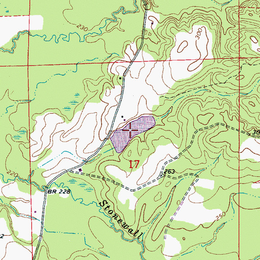 Topographic Map of None, MS