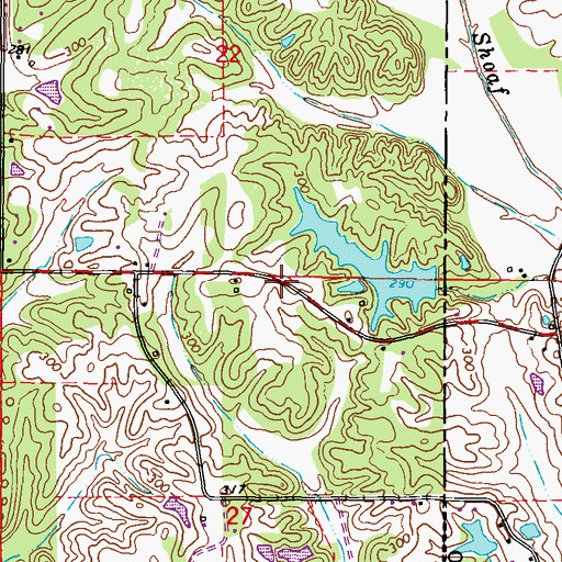 Topographic Map of John Young Lake Dam, MS