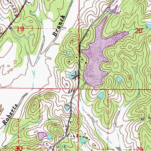 Topographic Map of Burgess Lake Dam, MS